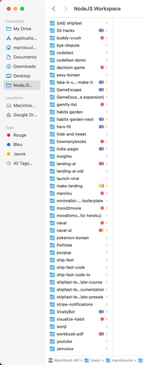 45 projects, 1 pays the bills