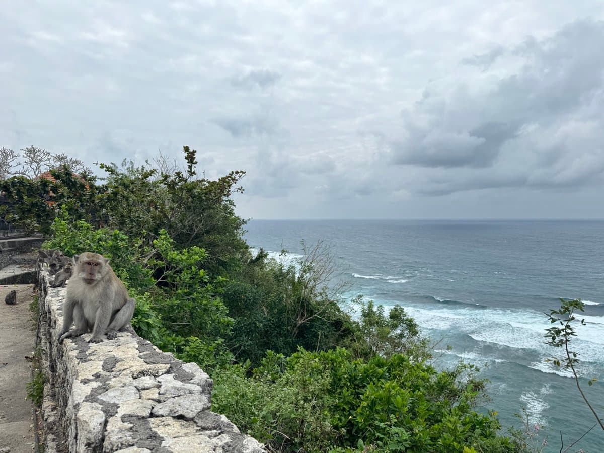 Bali is magical. I build tiny startups in the morning. Walk the dog and work out at the beach in the afternoon. And get…