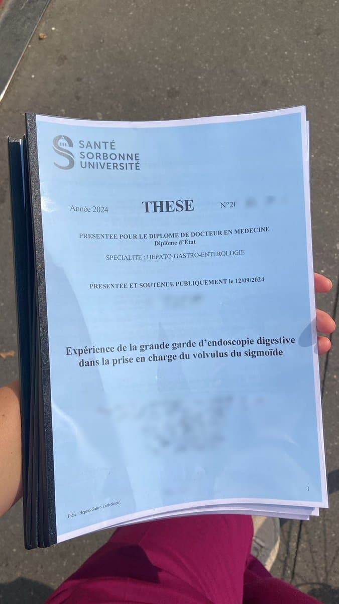 My sister is a doctor and just finished her thesis. It's very important for her, so I wanted to read it. But it's 60,000…
