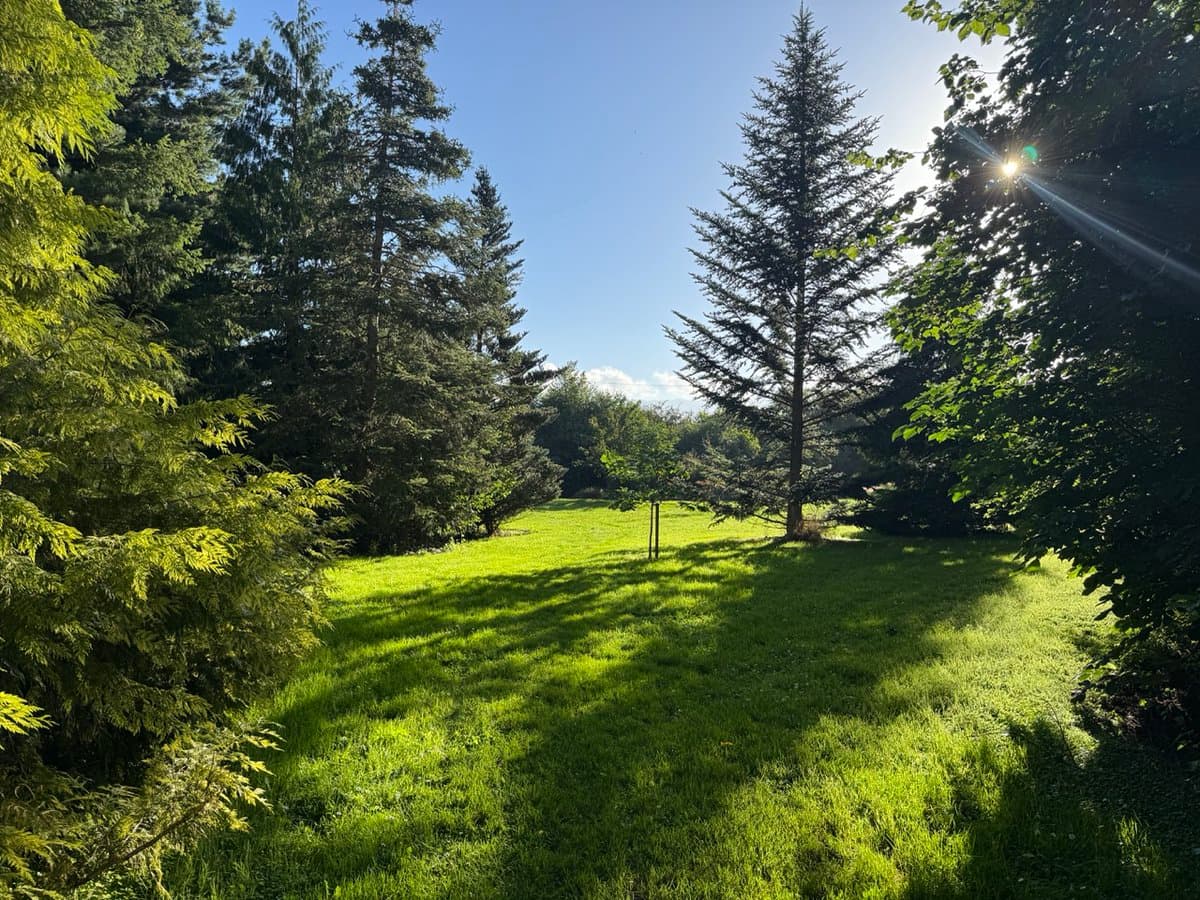 New Zealand feels so nice my wife and I want to move