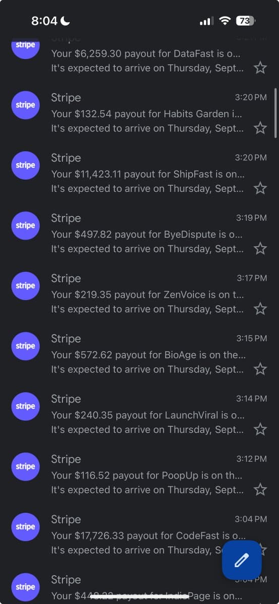 It's just a website until Stripe sends payouts for 36 startups