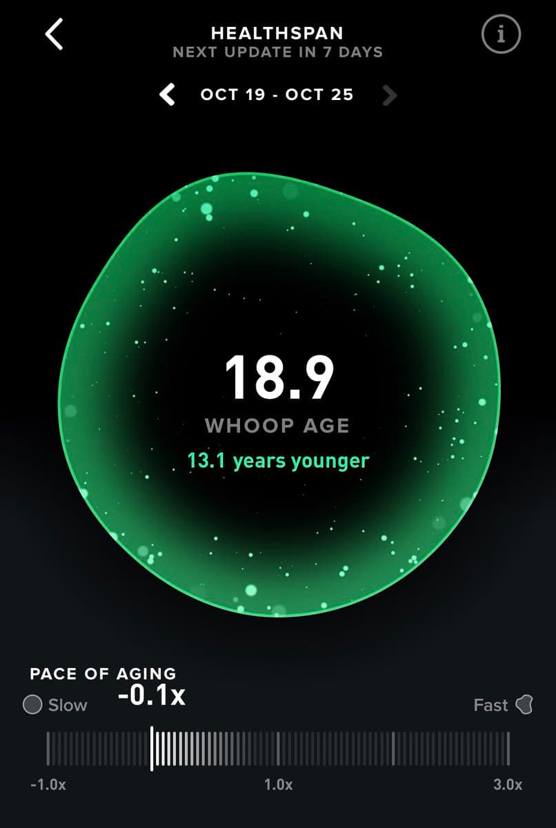 I’m 18 y/o and built a successful $100,000 ARR SaaS. Comment "playbook," and I'll teach you how to reverse aging and…