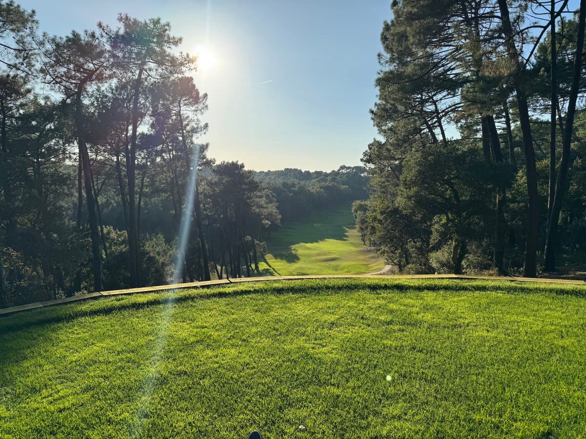 The French tax system is terrible, but man, the lifestyle is top-notch. My wife and I are in Hossegor (south west) for…