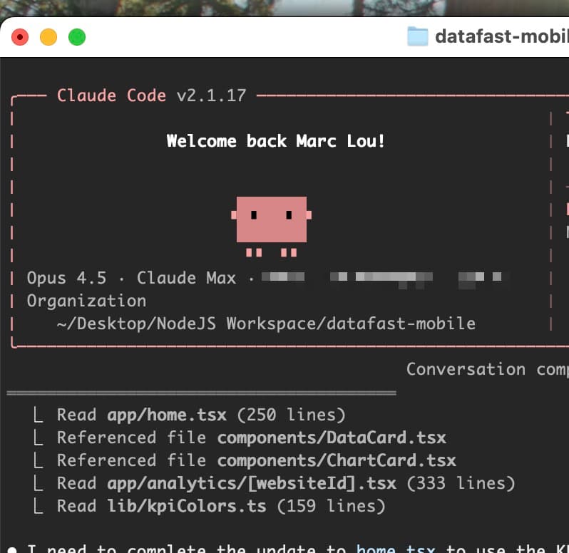 I built a DataFast app in 24 hours