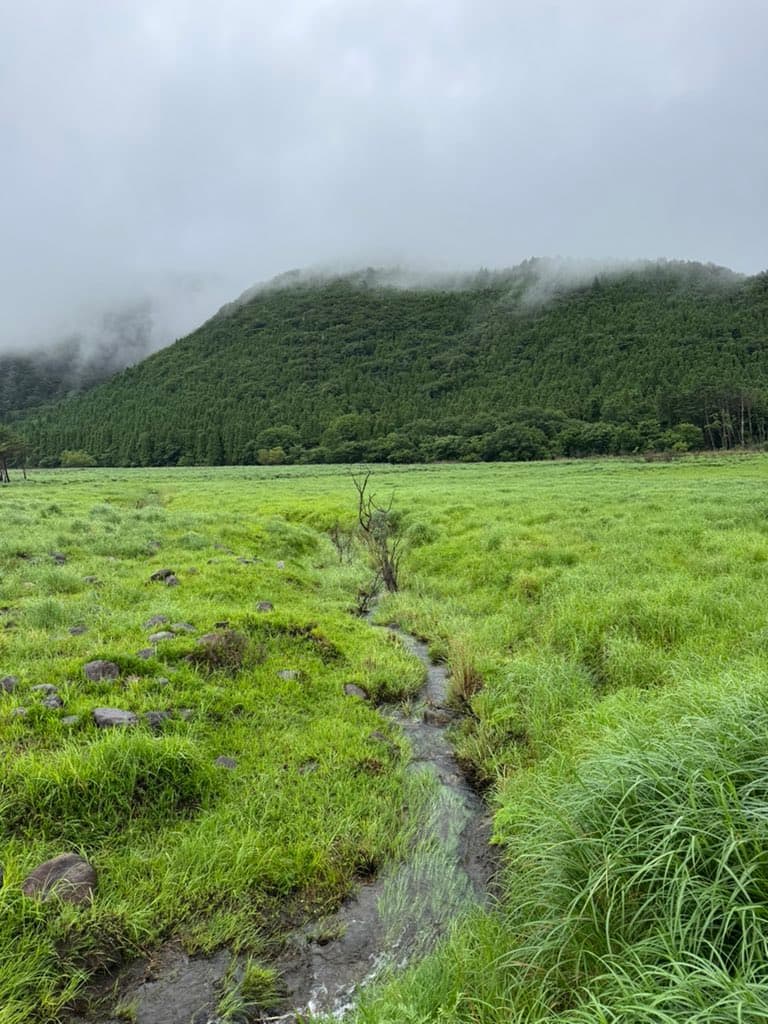 Japan feels like a Studio Ghibli movie with lofi girl music